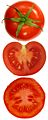 Tomate