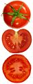 Tomate